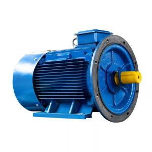 Электродвигатель 315 S2 160/3000 IM2001