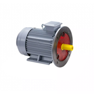 Электродвигатель 100 S2 GST-Б1-S12-IE2 4/3000 IM2081