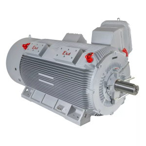 Электродвигатель M 400-SDN 6,0-400/3000-EP-A IP55 (SG) 400/3000 IM1001